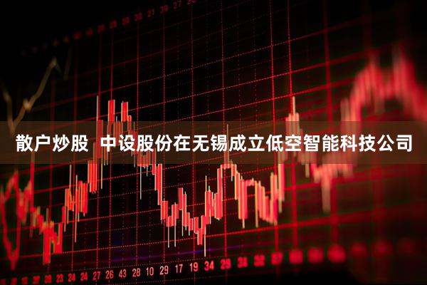 散户炒股  中设股份在无锡成立低空智能科技公司