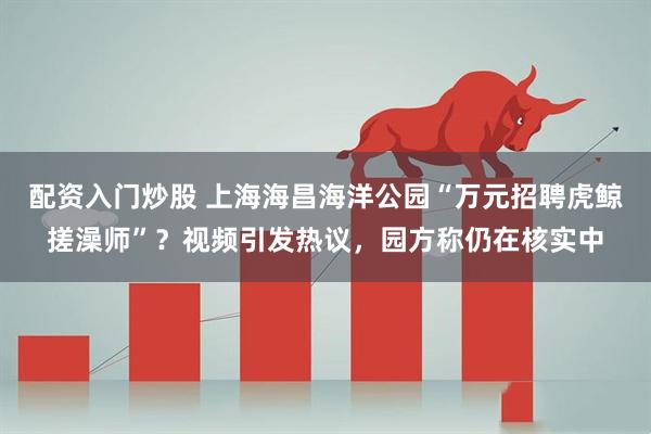 配资入门炒股 上海海昌海洋公园“万元招聘虎鲸搓澡师”？视频引发热议，园方称仍在核实中